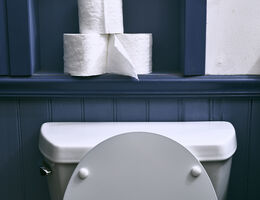 The top of a toilet with three rolls of toilet paper stacked on a shelf above it.